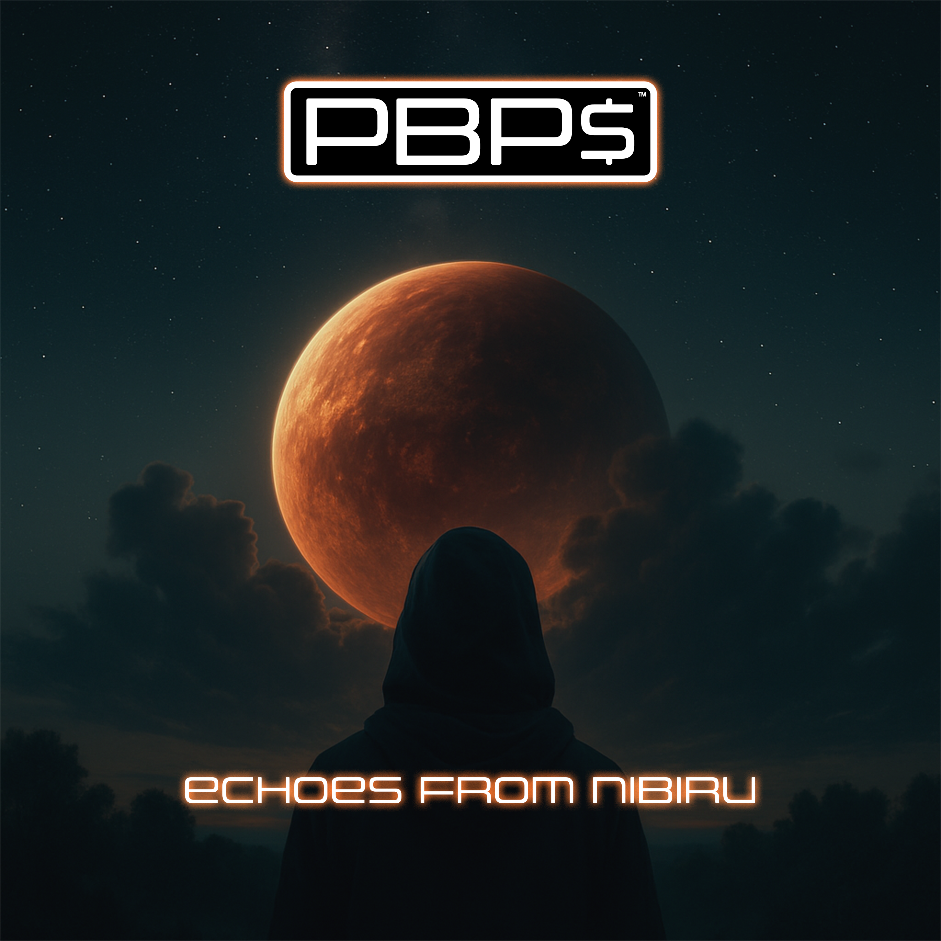 Echoes from Nibiru Cover